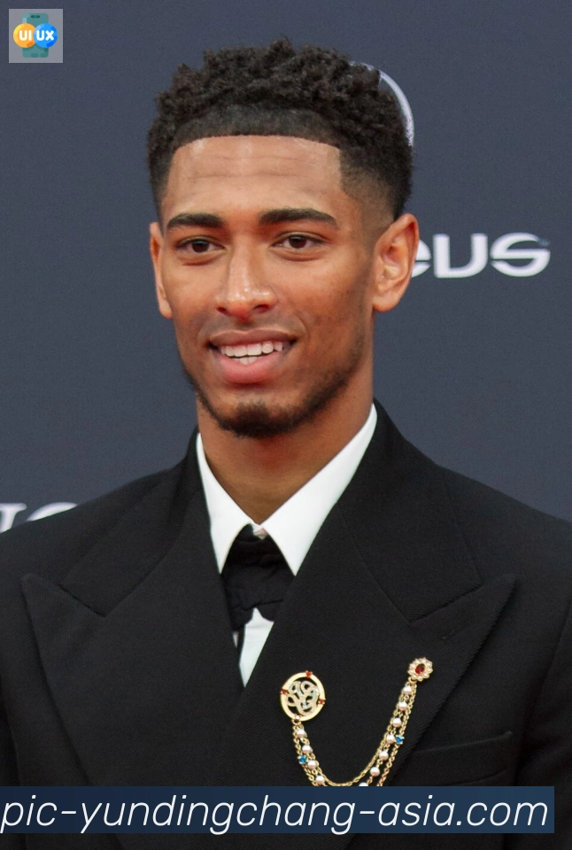 维尼修斯
